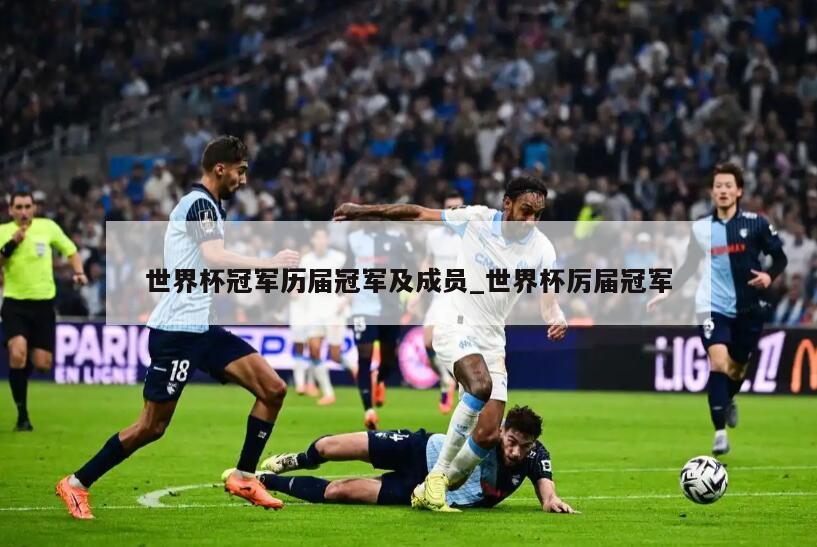 世界杯冠军历届冠军及成员_世界杯厉届冠军