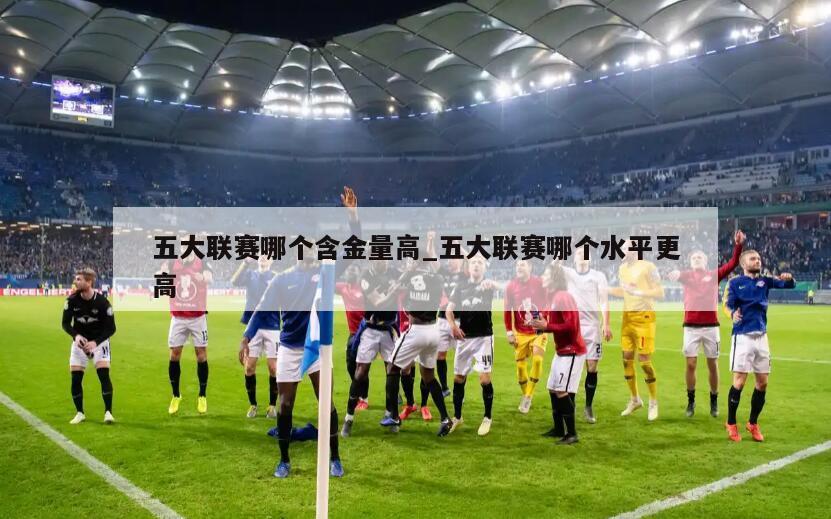 五大联赛哪个含金量高_五大联赛哪个水平更高