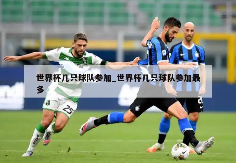 世界杯几只球队参加_世界杯几只球队参加最多