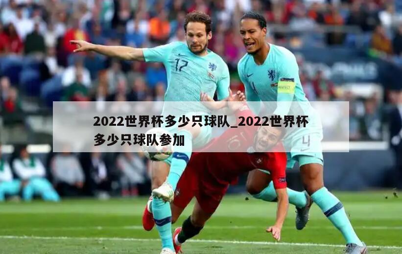 2022世界杯多少只球队_2022世界杯多少只球队参加